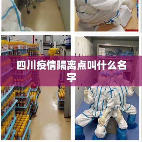 宁波疫情最新情况最新消息今天，宁波疫情最新消息今天