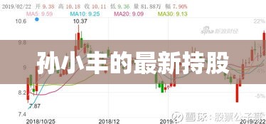 孙小丰的最新持股