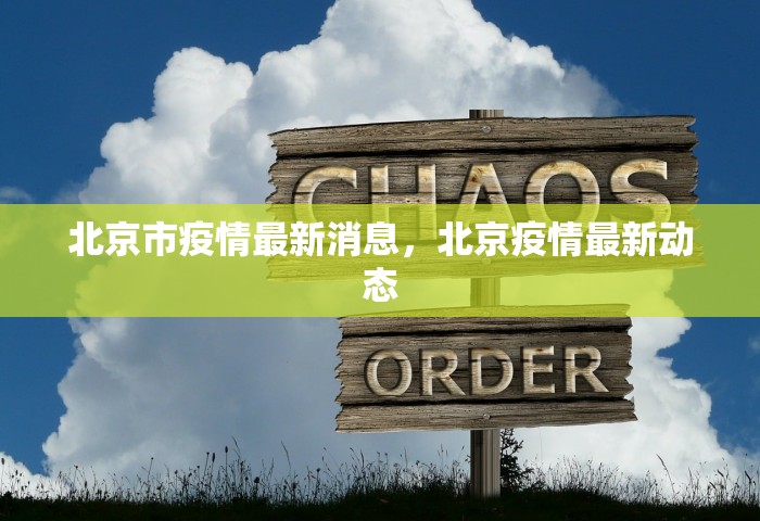 美国新冠病毒确诊超165万例，美国新冠病毒确诊超165万例