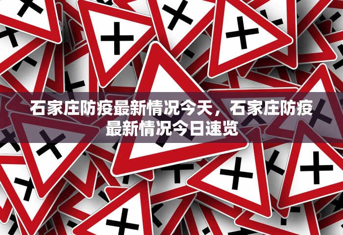 截至28日17时南京共排查出4例阳性，南京共排查出4例阳性