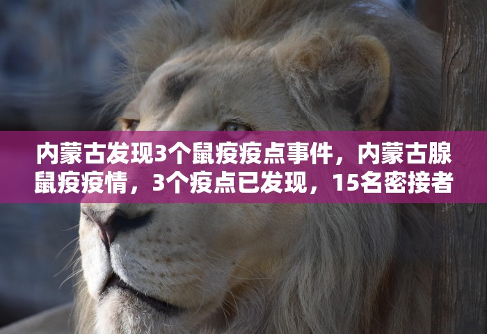 满洲里新增病例详情，满洲里新增病例详情公布