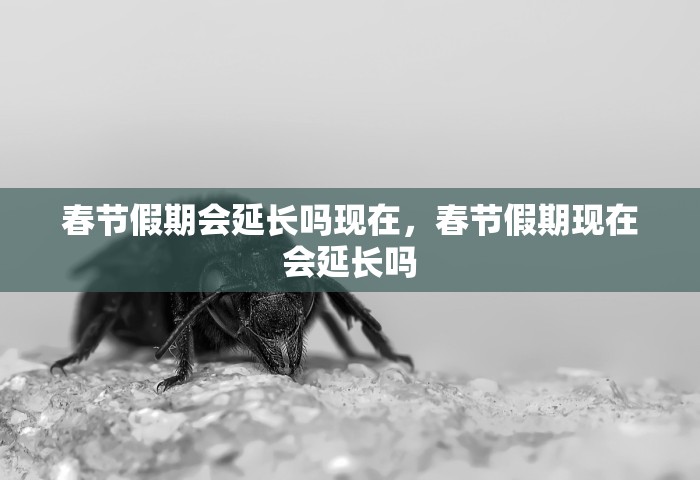 玩家测评“微信群开炸 金花房卡去哪充值	”详细房卡怎么购买方式
