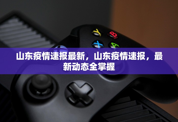 山东疫情速报最新，山东疫情速报，最新动态全掌握