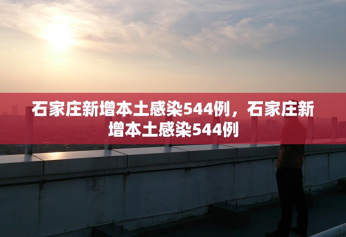 石家庄新增本土感染544例，石家庄新增本土感染544例