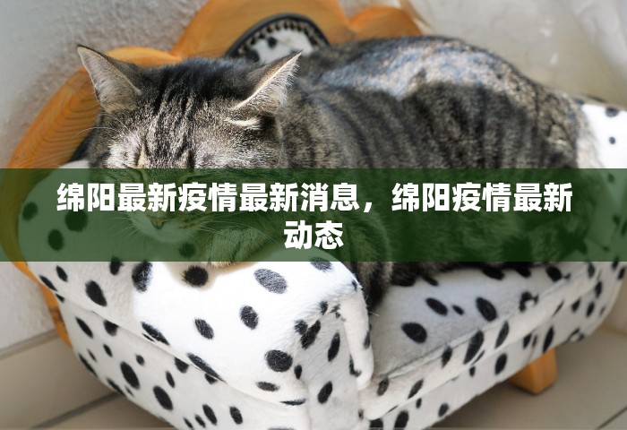 绵阳最新疫情最新消息，绵阳疫情最新动态
