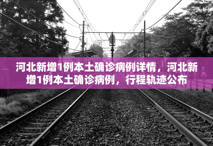 世卫讨论结束新冠全球紧急状态，世卫组织讨论结束新冠全球紧急状态