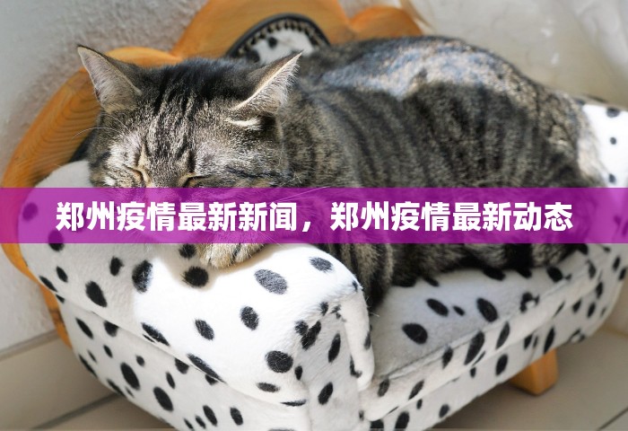安徽怀远发出多份省外协查函，安徽怀远发出多份省外协查函