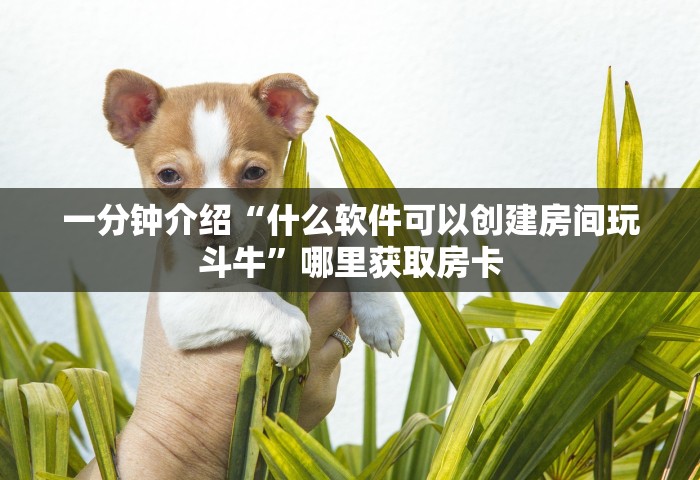 给大家讲解“如何创建微信群热玩吧房间	”详细房卡怎么充值教程