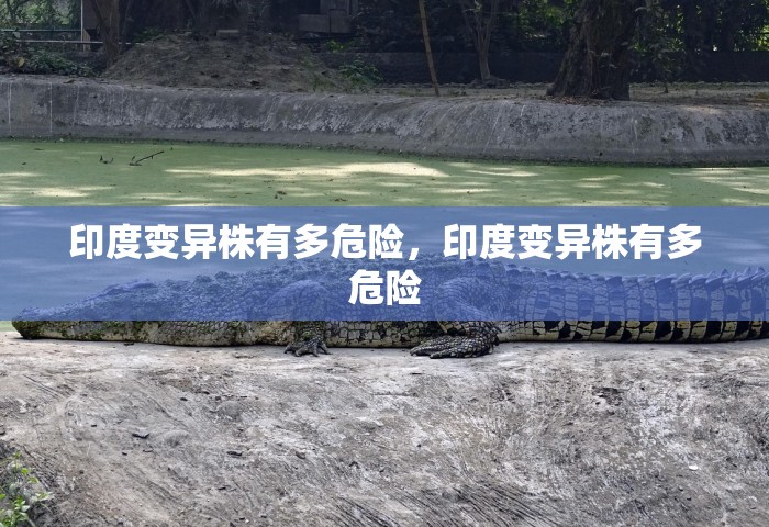 广州12例感染者详情，广州12例感染者详情公布