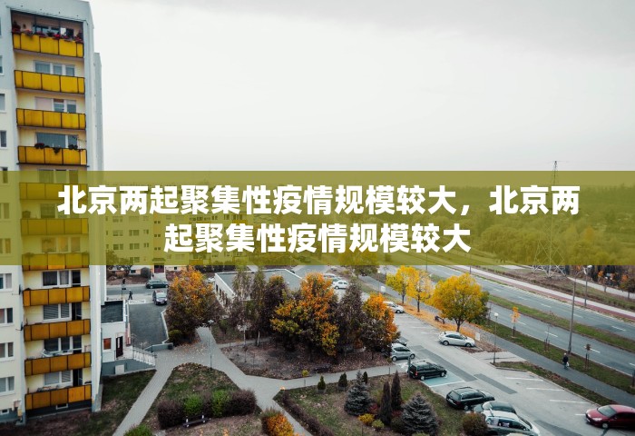 北京两起聚集性疫情规模较大，北京两起聚集性疫情规模较大
