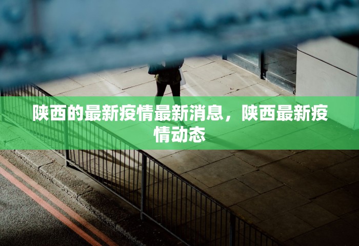 陕西的最新疫情最新消息	，陕西最新疫情动态