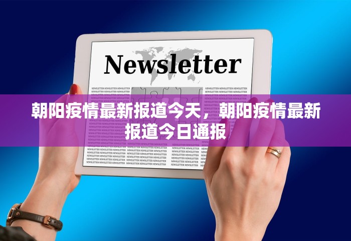 31省份新增本土确诊，31省份新增本土确诊情况