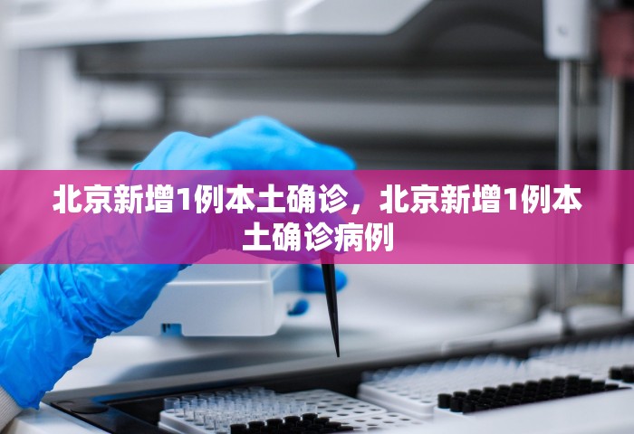 31省区市新增境外输入17例，31省区市新增境外输入17例
