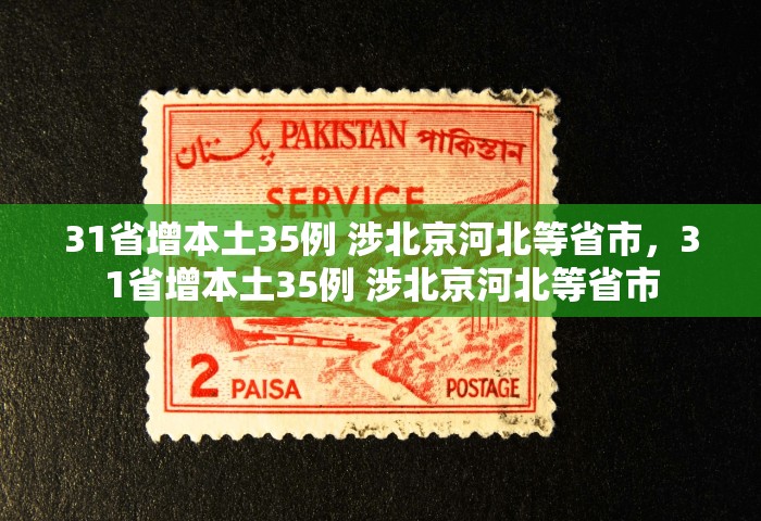 31省增本土35例 涉北京河北等省市，31省增本土35例 涉北京河北等省市