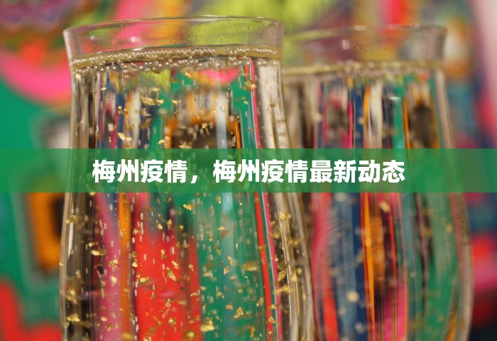 梅州疫情	，梅州疫情最新动态