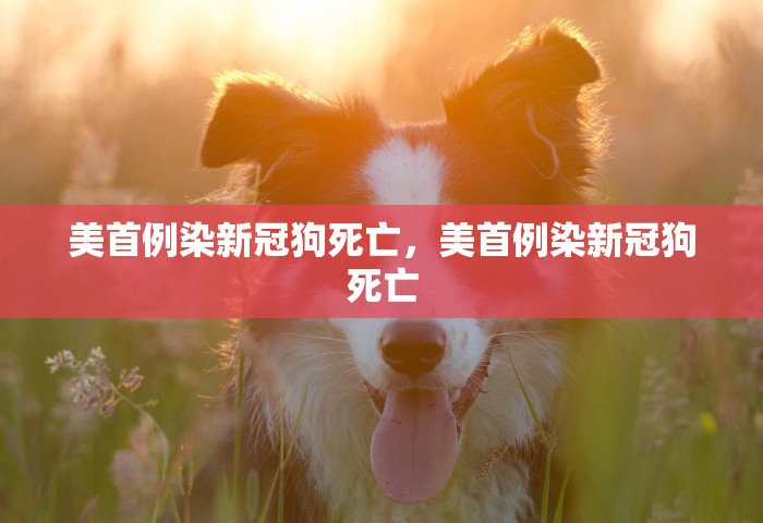 吉林疫情什么时候结束，吉林疫情预计何时结束？