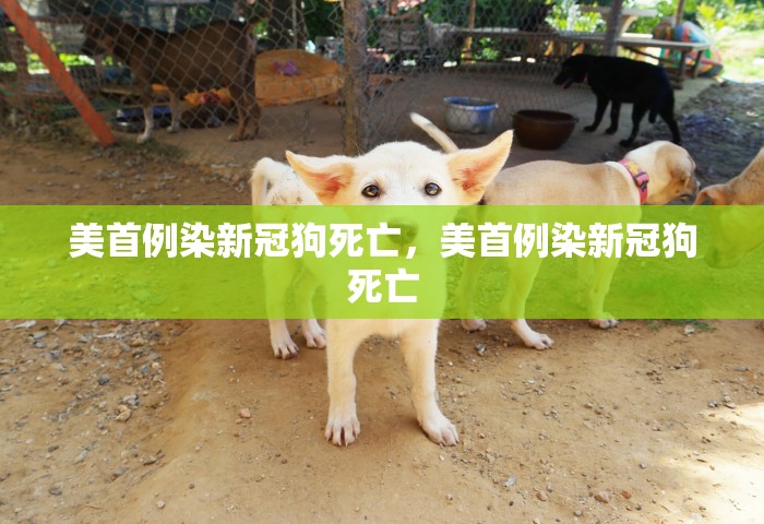 北京24小时实时天气预报新，北京24小时实时天气动态