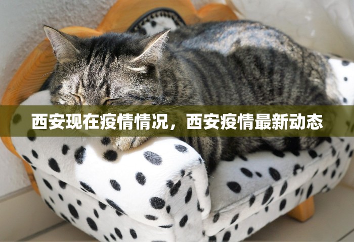 西安现在疫情情况，西安疫情最新动态