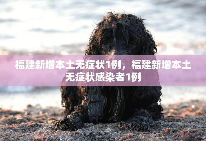 福建新增本土无症状1例	，福建新增本土无症状感染者1例