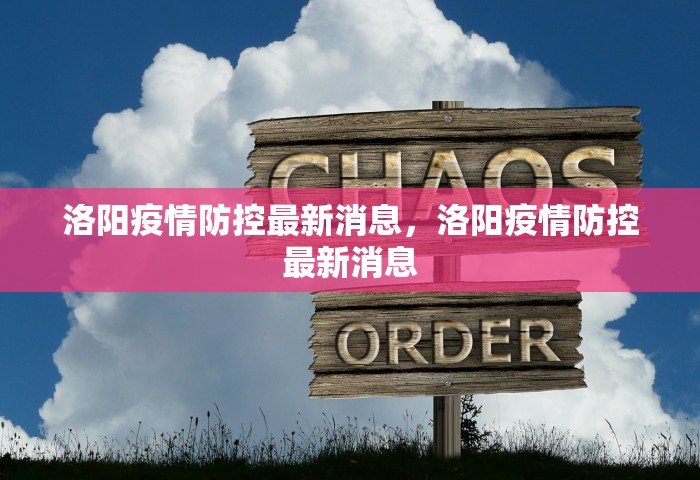 31省新增本土确诊病例的原因分析，31省新增本土确诊病例原因探析