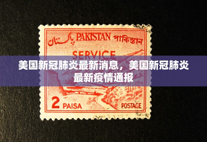 美国新冠肺炎最新消息，美国新冠肺炎最新疫情通报