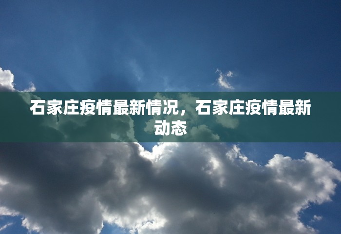 石家庄疫情最新情况，石家庄疫情最新动态