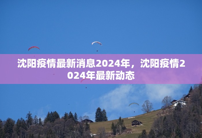 沈阳疫情最新消息2024年，沈阳疫情2024年最新动态