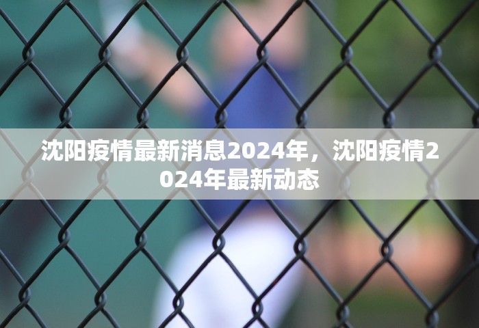 沈阳疫情最新消息2024年	，沈阳疫情2024年最新动态