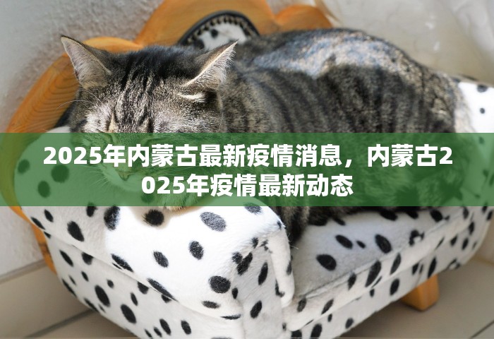 2025年内蒙古最新疫情消息	，内蒙古2025年疫情最新动态