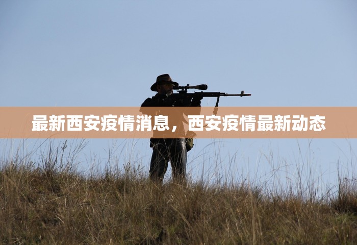 最新西安疫情消息，西安疫情最新动态