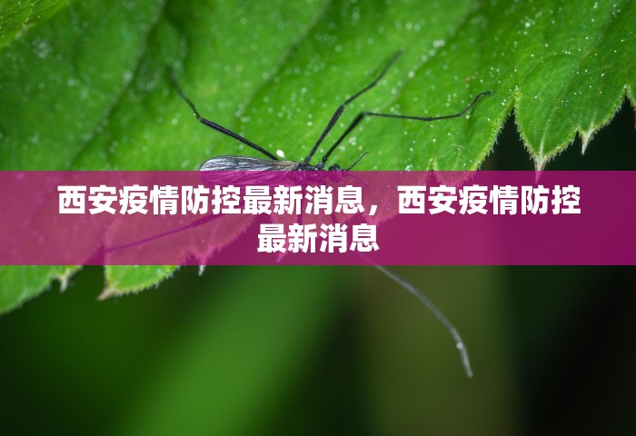 西安疫情防控最新消息	，西安疫情防控最新消息