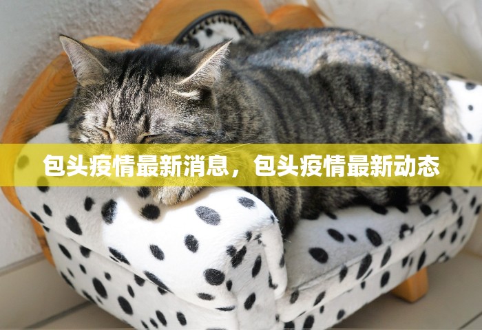包头疫情最新消息，包头疫情最新动态