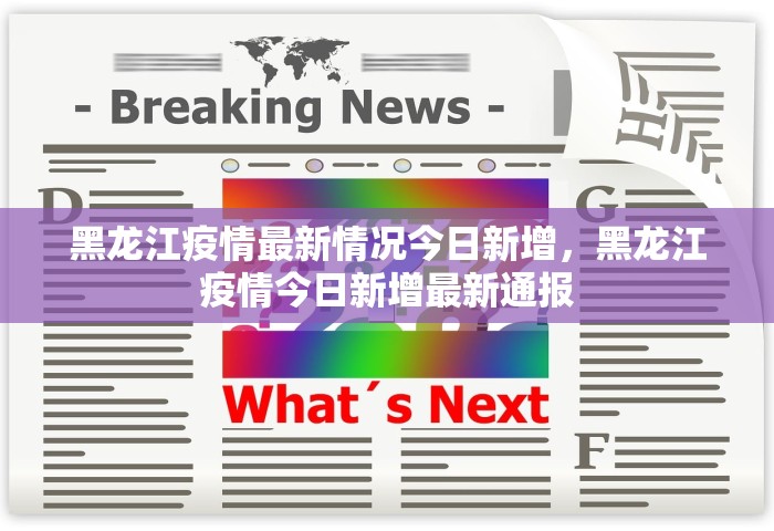黑龙江疫情最新情况今日新增，黑龙江疫情今日新增最新通报