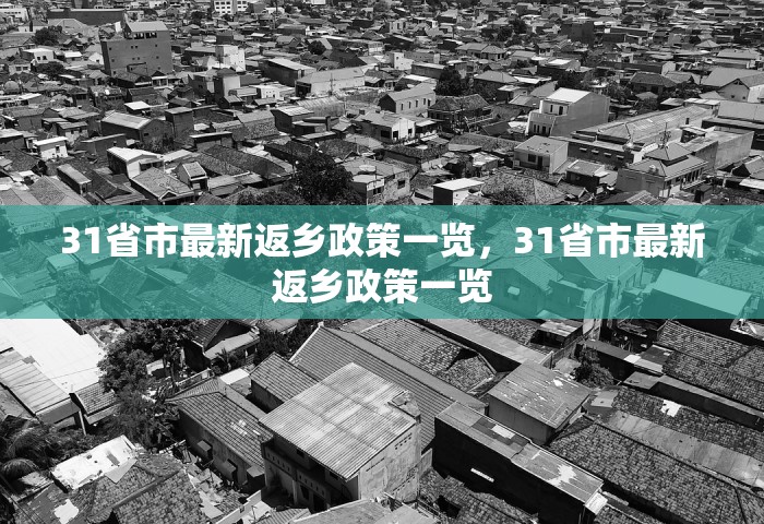 31省市最新返乡政策一览	，31省市最新返乡政策一览
