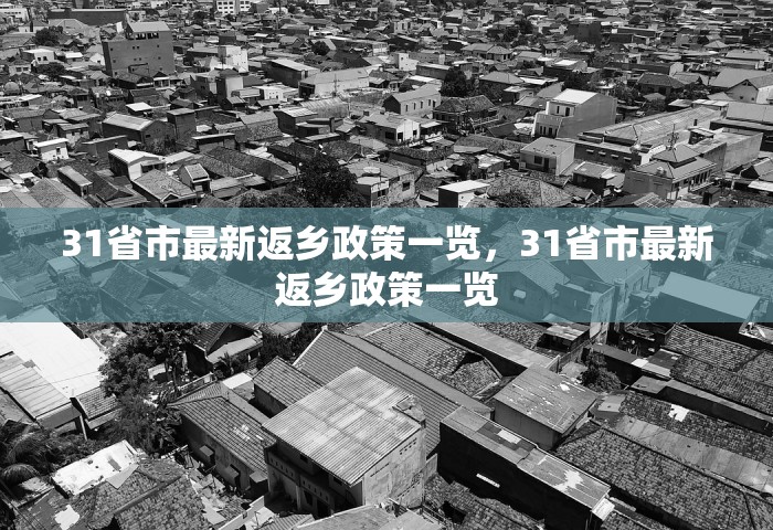 31省市最新返乡政策一览，31省市最新返乡政策一览