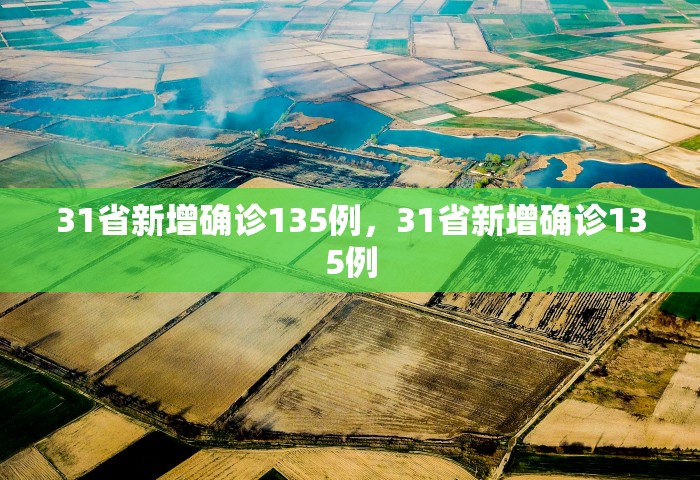 31省新增确诊135例，31省新增确诊135例