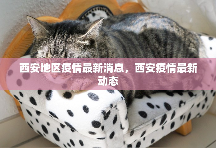 西安地区疫情最新消息	，西安疫情最新动态