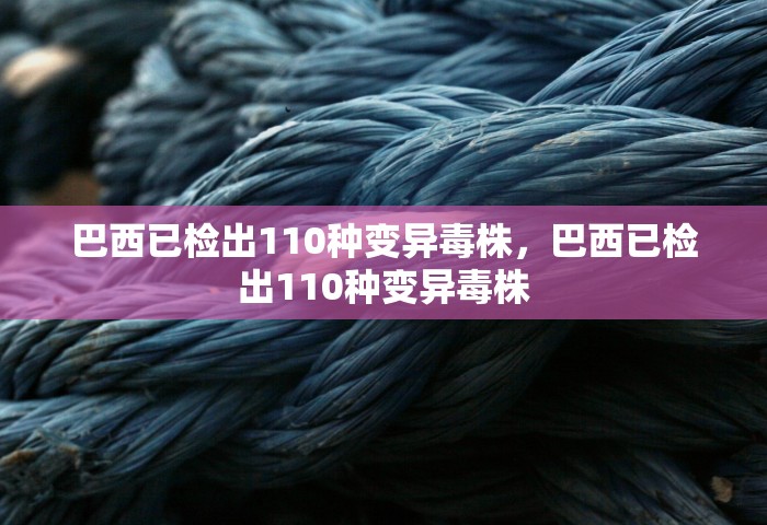 巴西已检出110种变异毒株，巴西已检出110种变异毒株