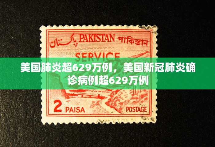 美国肺炎超629万例，美国新冠肺炎确诊病例超629万例
