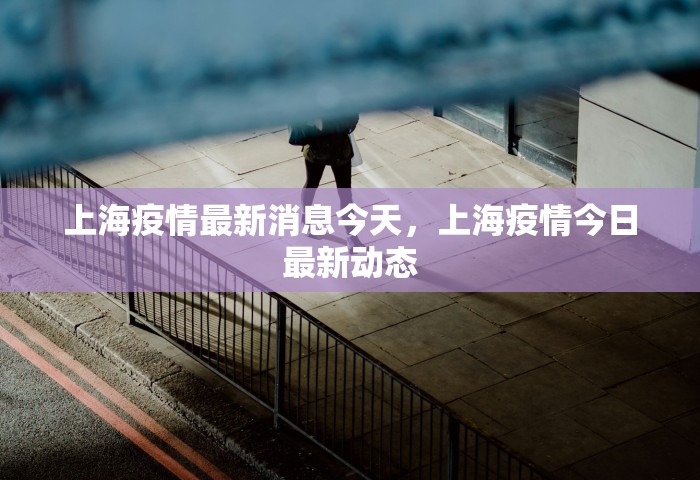 上海疫情最新消息今天，上海疫情今日最新动态