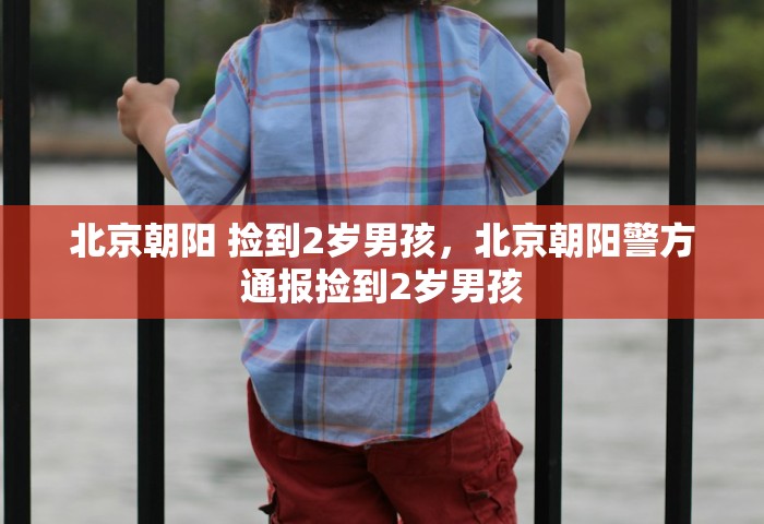 北京朝阳 捡到2岁男孩，北京朝阳警方通报捡到2岁男孩