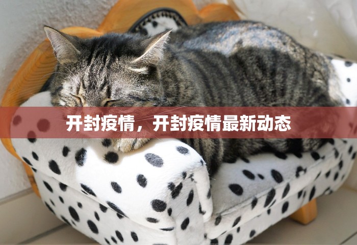 开封疫情，开封疫情最新动态