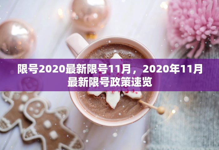 限号2020最新限号11月，2020年11月最新限号政策速览