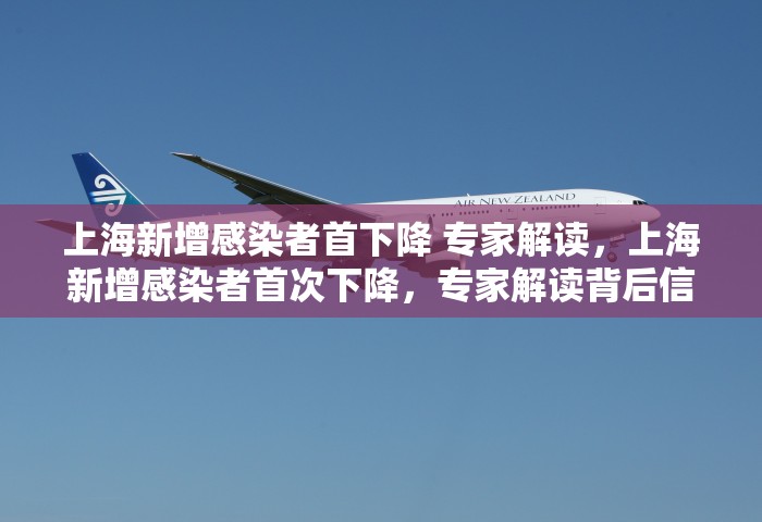 上海新增感染者首下降 专家解读	，上海新增感染者首次下降，专家解读背后信号
