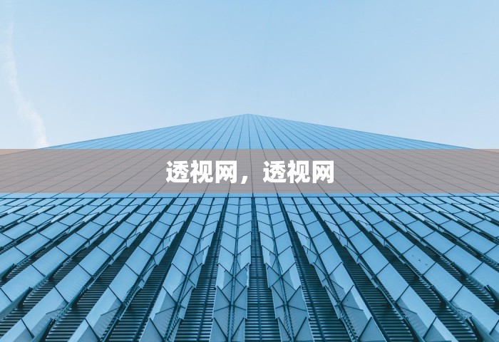 透视网，透视网