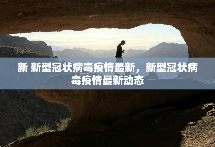 新 新型冠状病毒疫情最新，新型冠状病毒疫情最新动态