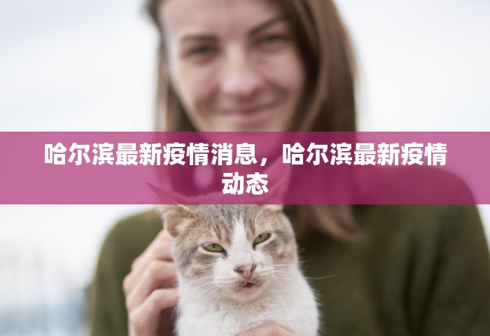 哈尔滨最新疫情消息，哈尔滨最新疫情动态