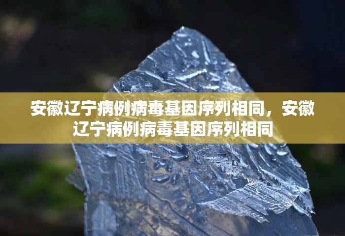 安徽辽宁病例病毒基因序列相同，安徽辽宁病例病毒基因序列相同