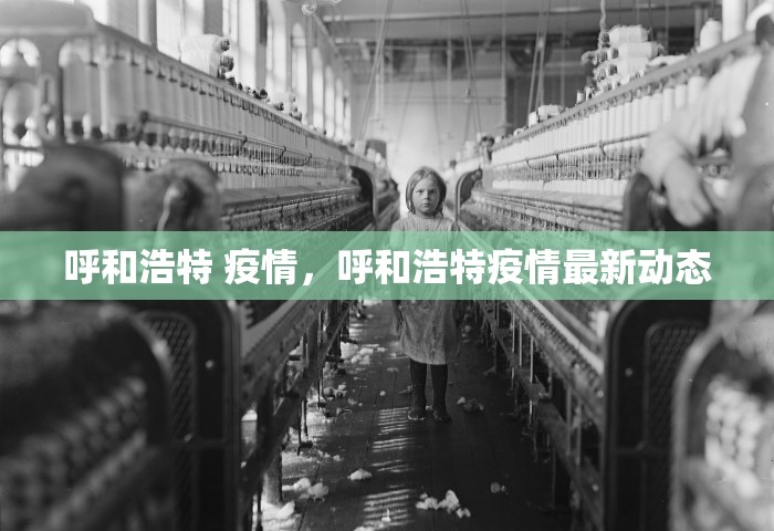呼和浩特 疫情，呼和浩特疫情最新动态